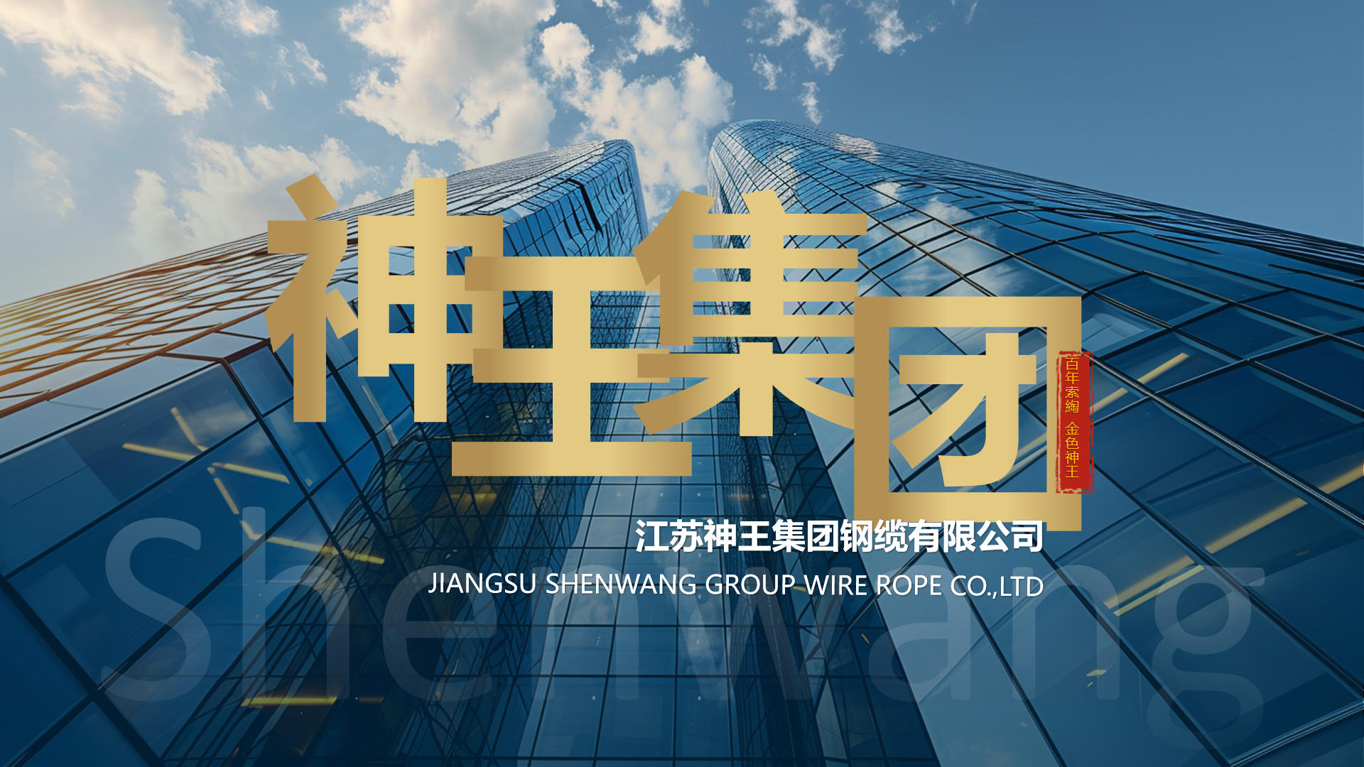 江苏神王集团钢缆有限公司