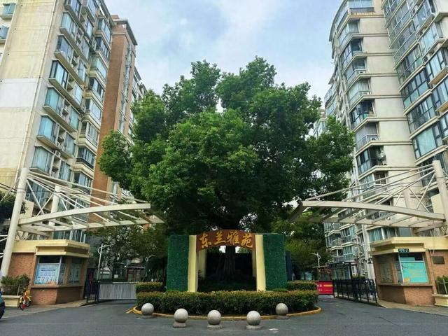 20多年老电梯“上新”，物业竟主动补贴维修资金？